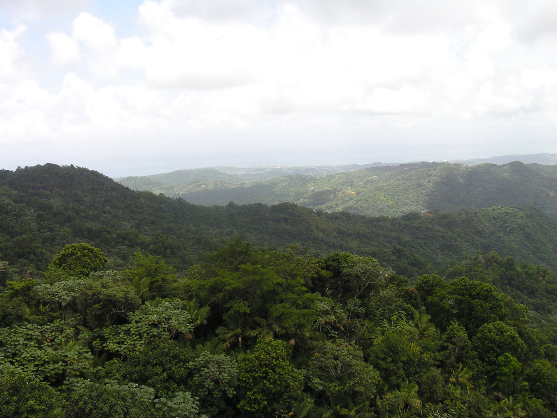 ./2005/Puerto Rico/Part 1/PICT0069.JPG